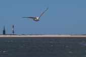 Vorschau: Beste Reisezeit Wangerooge